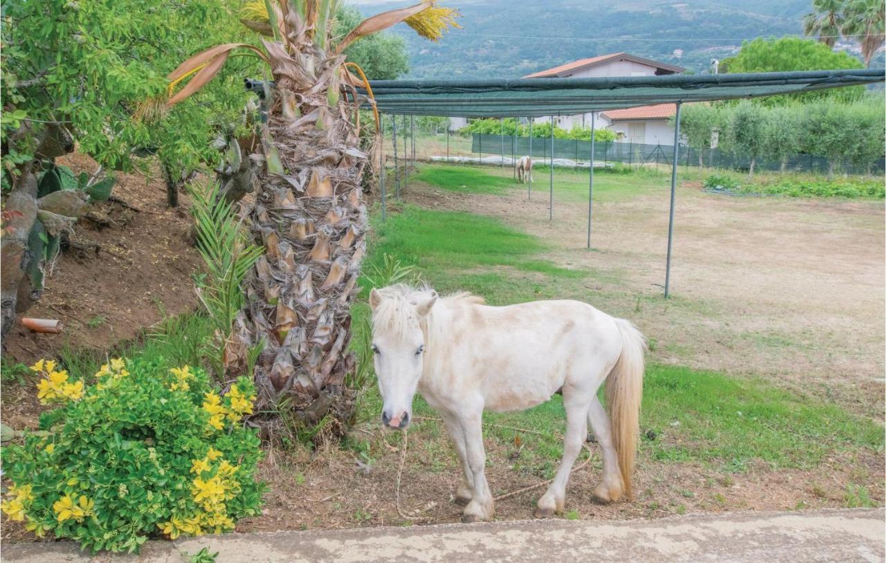 Casa Rosa Διαμέρισμα Ricadi Εξωτερικό φωτογραφία